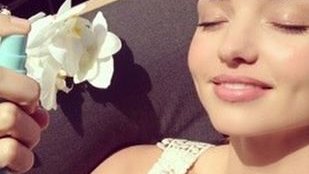 Je nasiona chia, algi i jagody acai – oto efekty