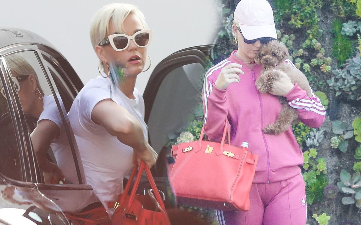 Katy Perry jak różowa landrynka na spacerze z pieskiem, który stał się hitem Internetu!