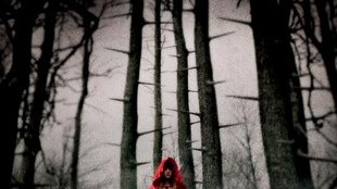 Amanda Seyfied – najseksowniejszy Czerwony Kapturek (FOTO)