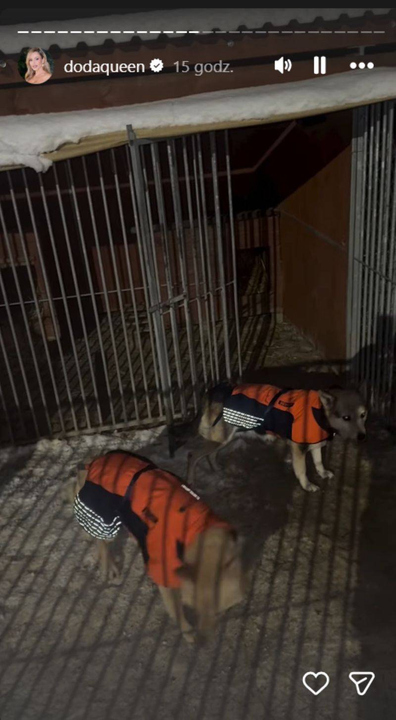 doda pomaga pieskom/Instagram/dodaqueen/