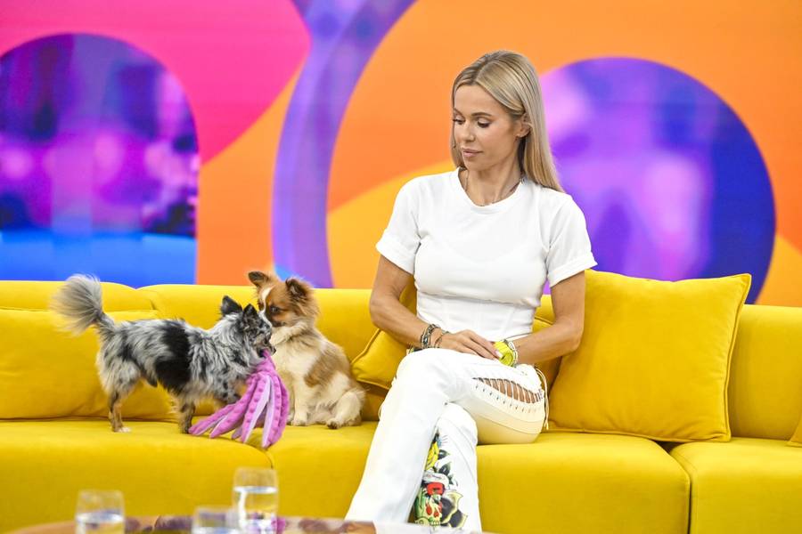 Specjalne spotkanie dla fanów DODY w “Halo Tu Polsat”! Opowiedziała o swoim życiu prywatnym “Jestem wolna” (FOTO)