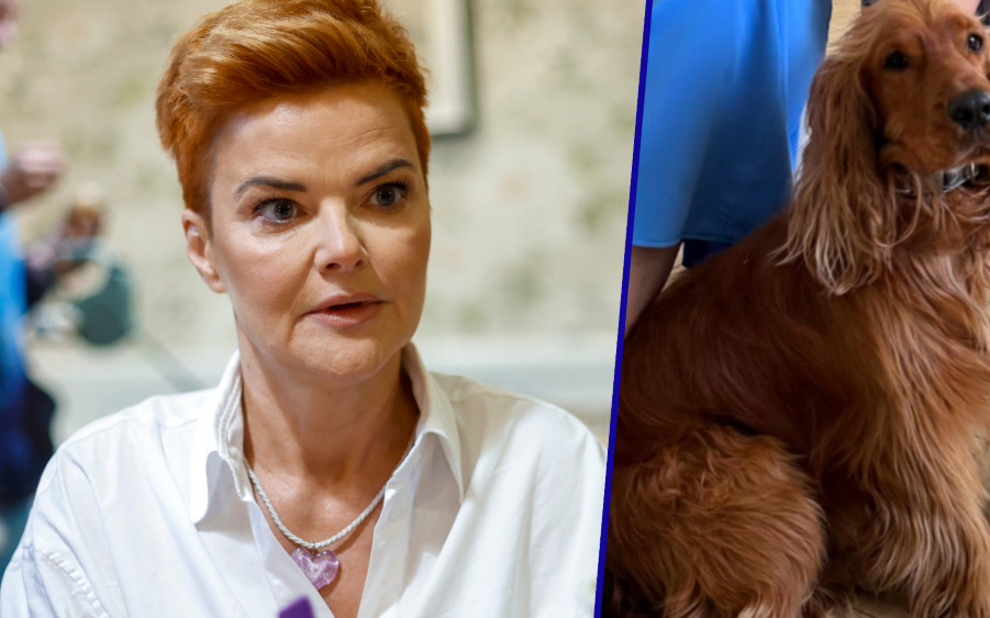 AFERA Richardson z kliniką weterynaryjną trwa! “Sugerowanie, że jesteśmy “mafią, lobby”(…), to język nienawiści”