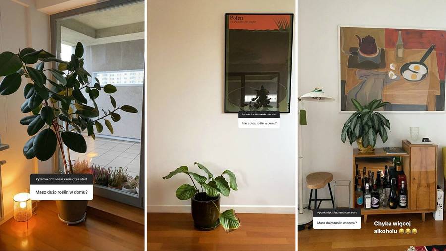 Kwiaty Marty Wierzbickiej