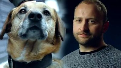 Borys Szyc zachęca do adopcji psiaków (VIDEO)