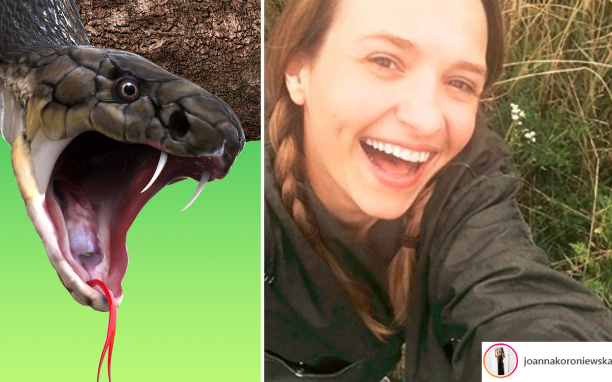 Koroniewska przestrzega przed PYTONEM: Bijcie drągiem lub grabiami!
