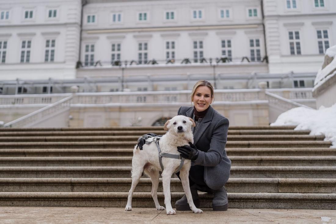 Rodzina Nawrockich powiększyła się o dwa pieski, fot. Instagram
