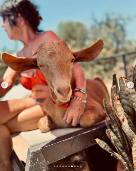 Tak mieszka dziś gwiazda Misia. Niezwykłe życie Krystyny Podleskiej za granicą