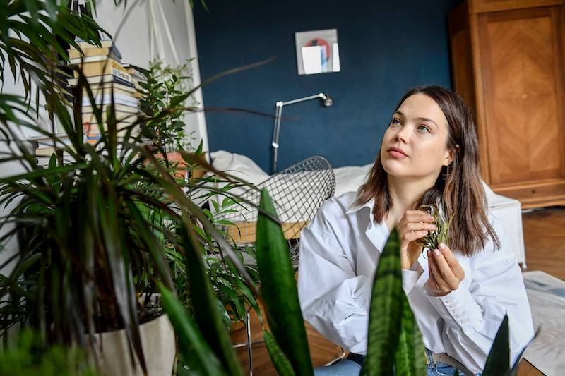 Dagmara Bryzek pokazała swoje mieszkanie. Uwielbia zajmować się swoimi roślinami