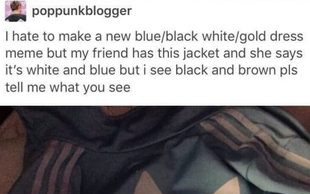 Szaleństwo. Internet kłóci się o kolor TEJ KURTKI