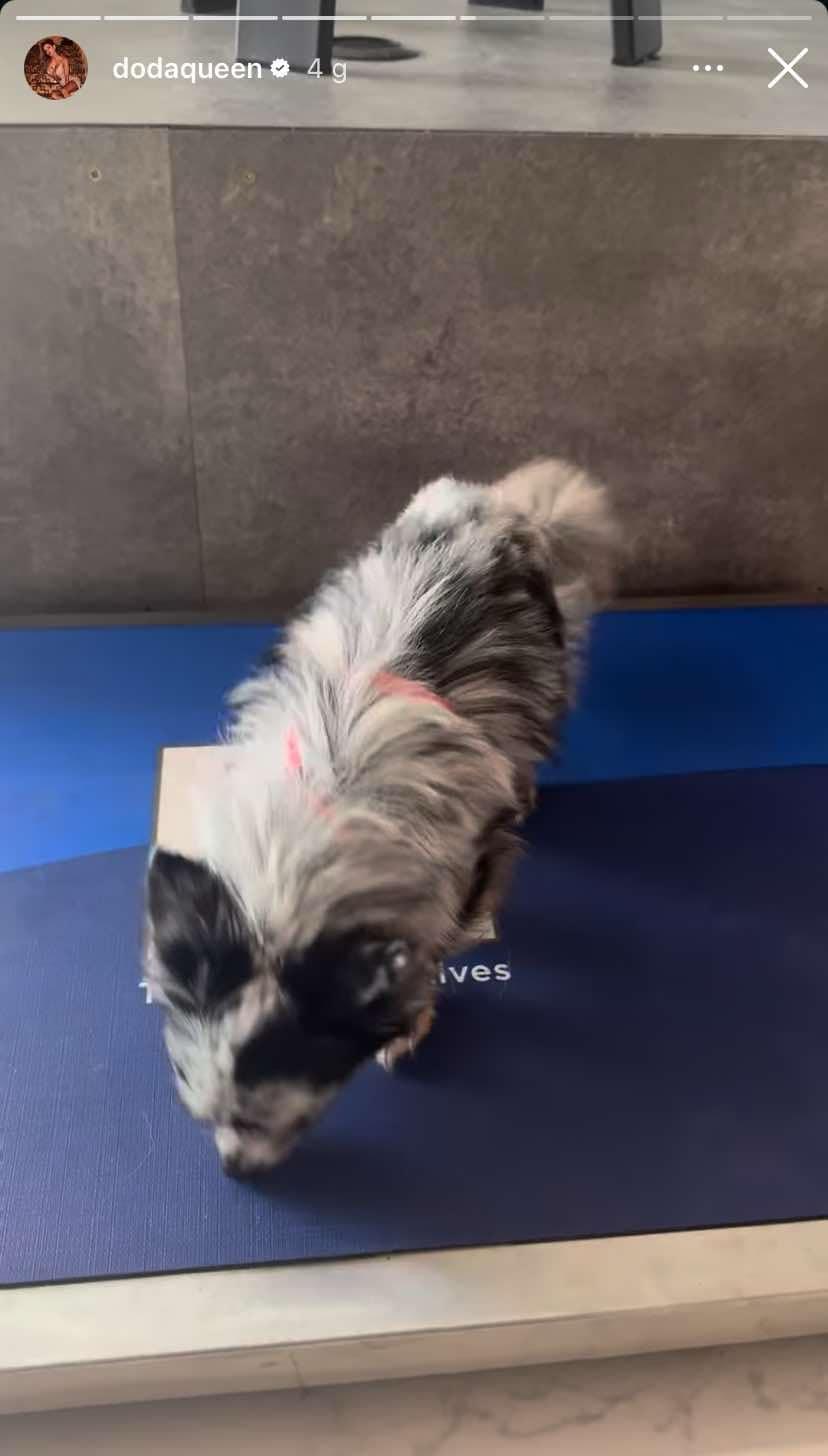 Doda, fot. Instagram. 