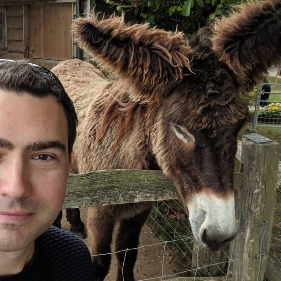 Co dzieje się z Piotrusiem z "Kogla-Mogla"?