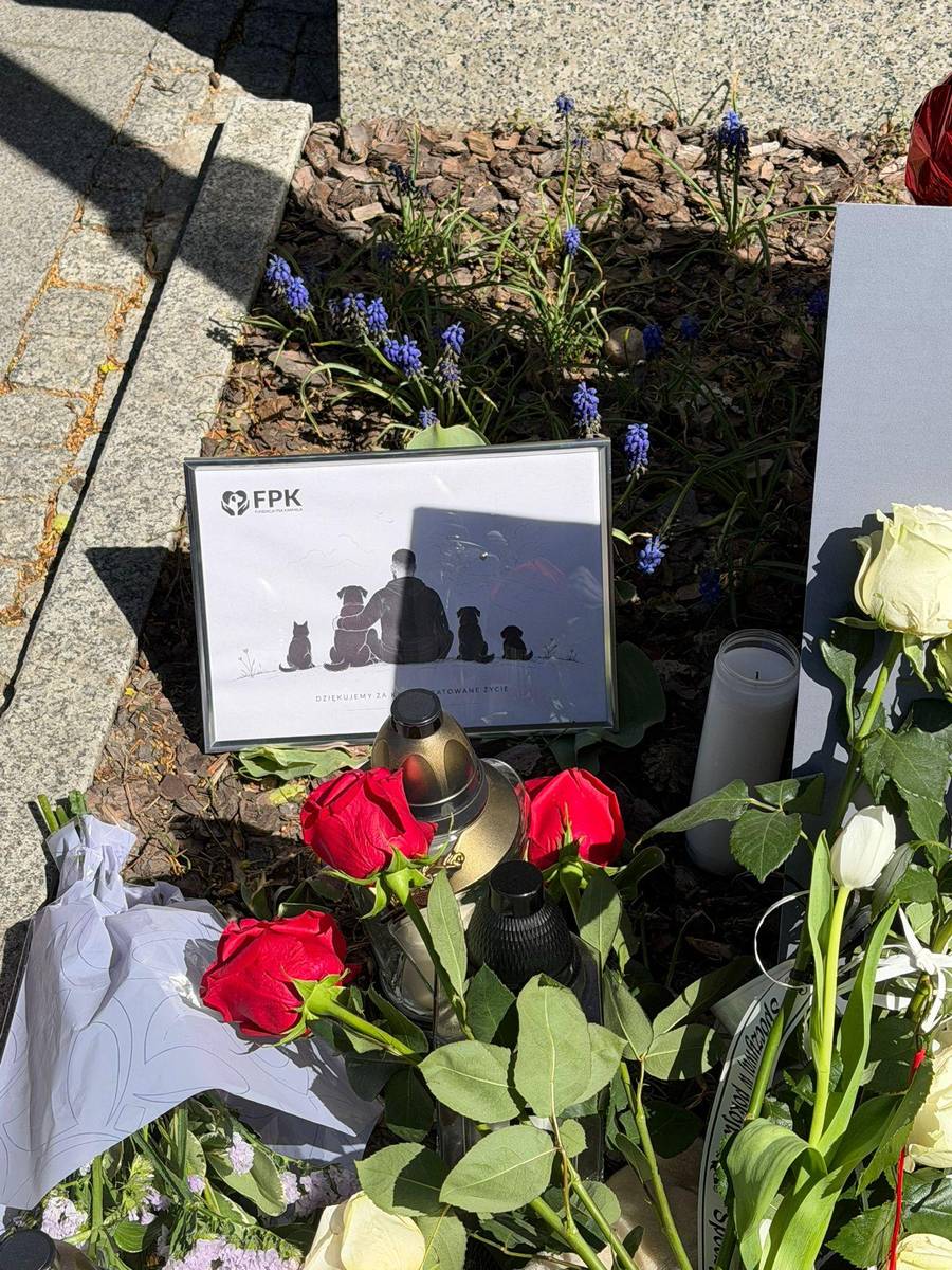 Staż marszałkowska nakazuje usunąć kwiaty w hołdzie dla posła Litewki, fot. Kozaczek Exclusive