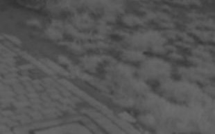 Jarosław ma swoją chytrą babę? (VIDEO)