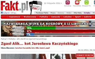 Alik nie żyje – odszedł kot Kaczyńskiego