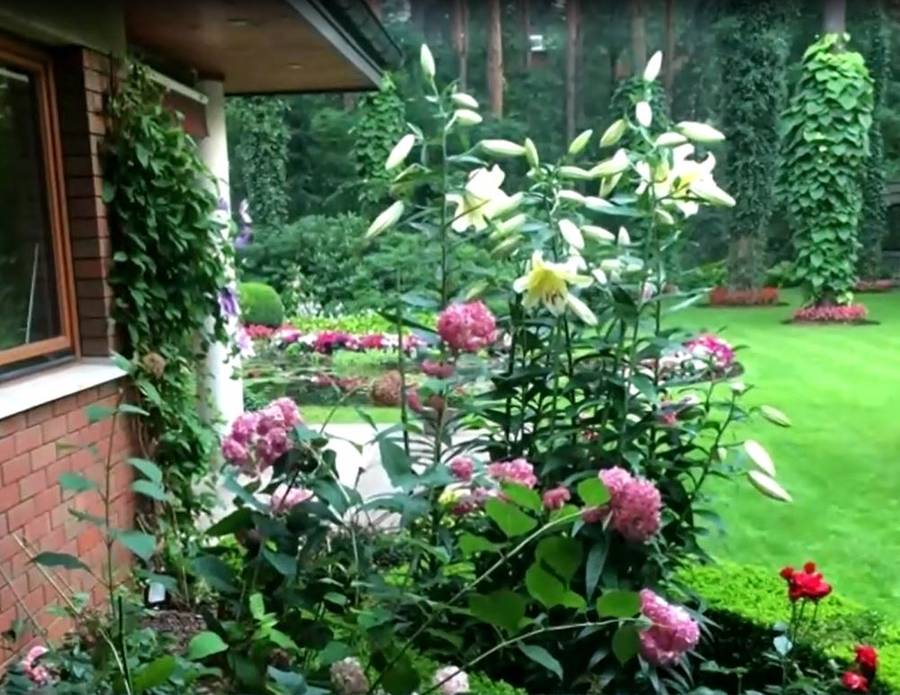 Dom Bożeny Dykiel fot. TVP