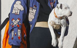 Miley Cyrus spotyka się z jednym z hollywoodzkich ciach!