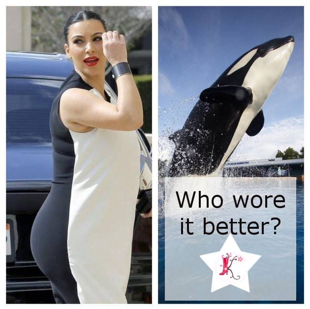 Najlepsze MEMENTY z życia Kardashianów