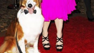 Kristin Davis przebiła samą Holly Madison (FOTO)