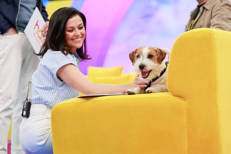 Gwiazdy piątkowego Halo tu Polsat. Violetta Arlak z “Rancza”, Justyna Steczkowska, Arkadiusz Jakubik…