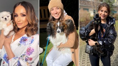 Gwiazdy pomagają zbierać karmę dla schroniska. Niezwykła akcja!