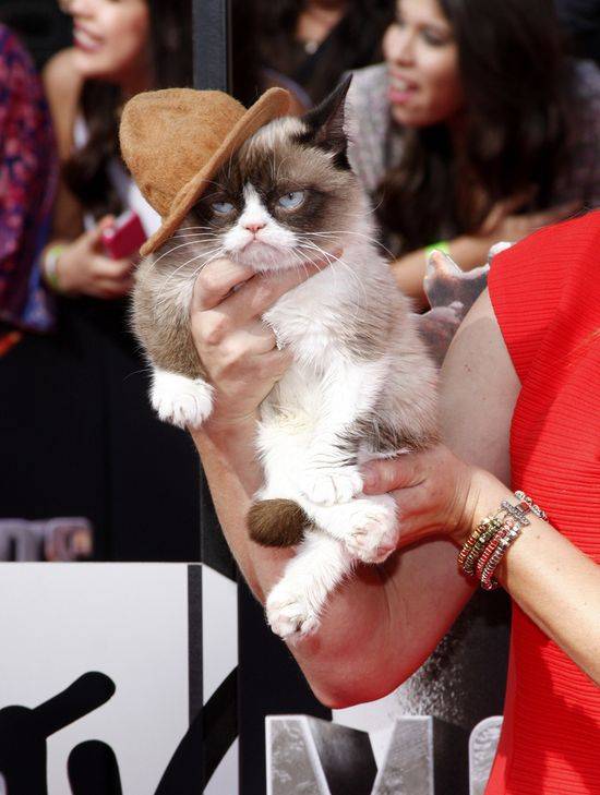 MTV Movie Awards 2014