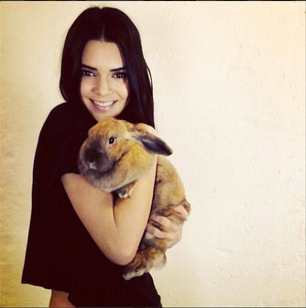 Sweet focie Kendall Jenner