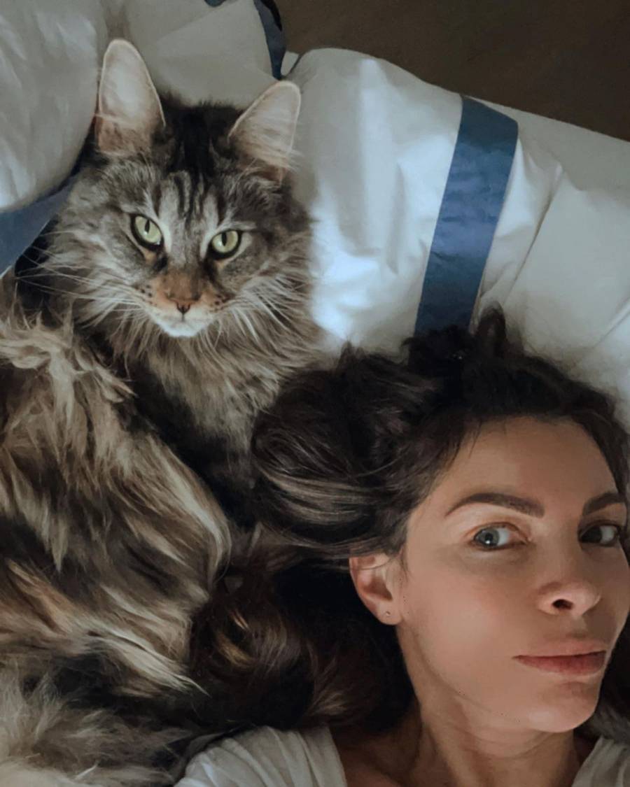 Światowy Dzień Kota: kto ma NAJŁADNIEJSZEGO futrzaka? Sadowska, Wojciechowska a może Jacek Kurski?