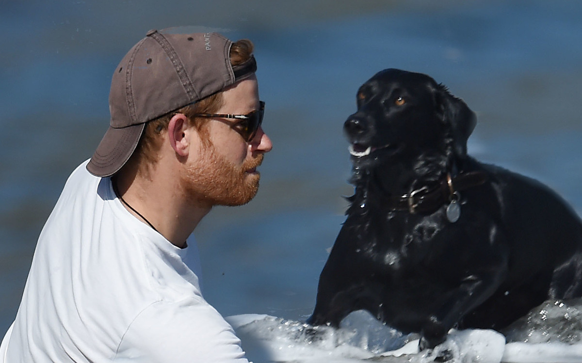 Po prostu Harry relaksuje się na plaży. Rozpoznalibyście go?