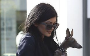 Tak Tyga w 2011 roku poznał Kylie Jenner (VIDEO)