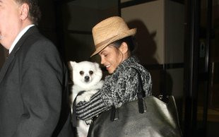 Wypoczęta Jenna Dewan z psem na lotnisku (FOTO)