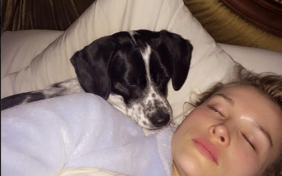 Gwiazdy w łóżku o poranku