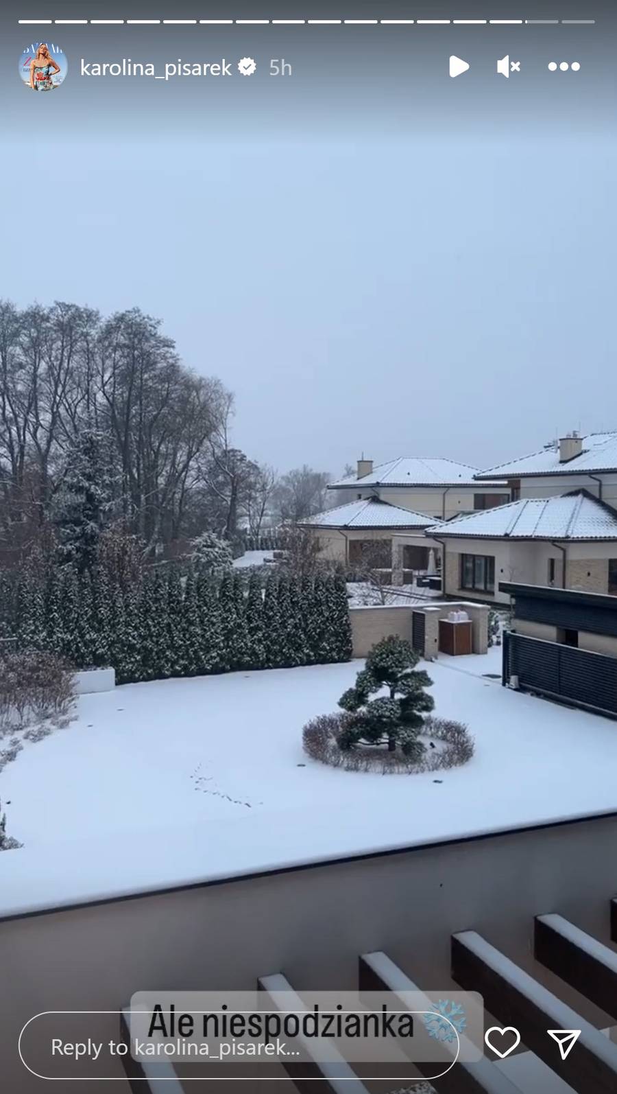 Pierwszy śnieg zawitał u Gwiazd! Halejcio, Pisarek, Lipińska i reszta chwalą się zimowymi fotkami (ZDJĘCIA)