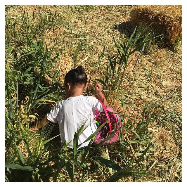 North West na Instagramie mamy