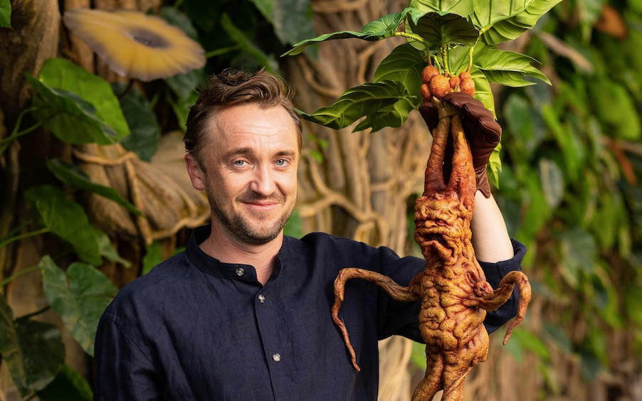 Tom Felton ośmieszony. Fani gwiazdora Harry’ego Pottera zachęcają, by znalazł “prawdziwą pracę”