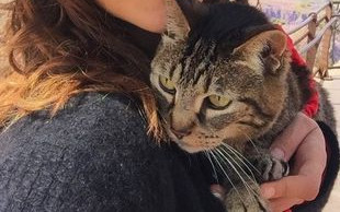 Zedd zostawił Selenę Gomez dla Niny Dobrev?