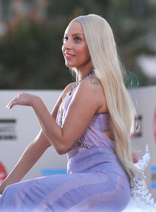 American Music Awards 2013