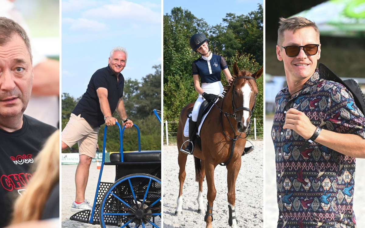 Mistrzostwa Jeździeckie Gwiazd 2024. Katarzyna Dowbor, Dariusz Kordek z córką, Marcin Mroczek…