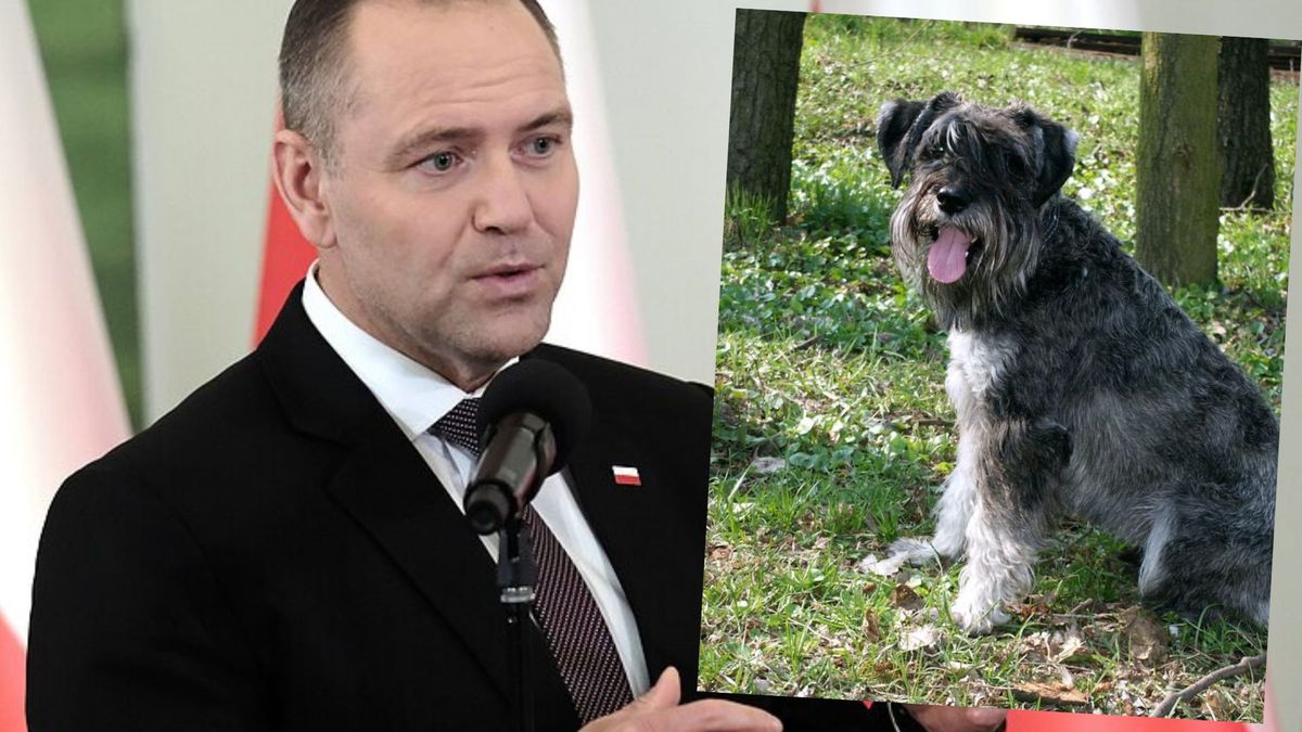 Nawrocki wetuje ustawę łańcuchową, fot.: KAPiF