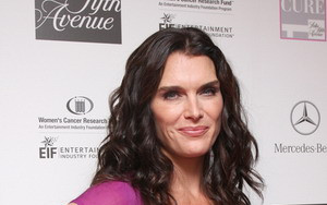 Shields jest niebezpieczna