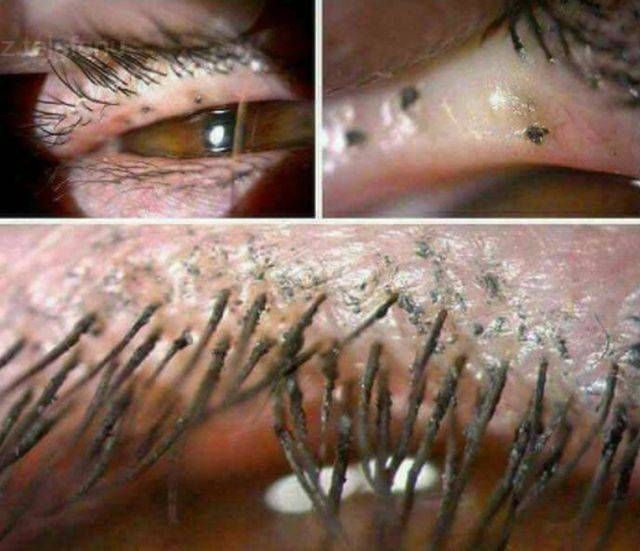 Co się dzieje, gdy malujesz sztuczne rzęsy? NIGDY tego nie rób!