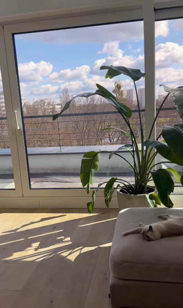 Jak mieszka Martyna Wojciechowska?