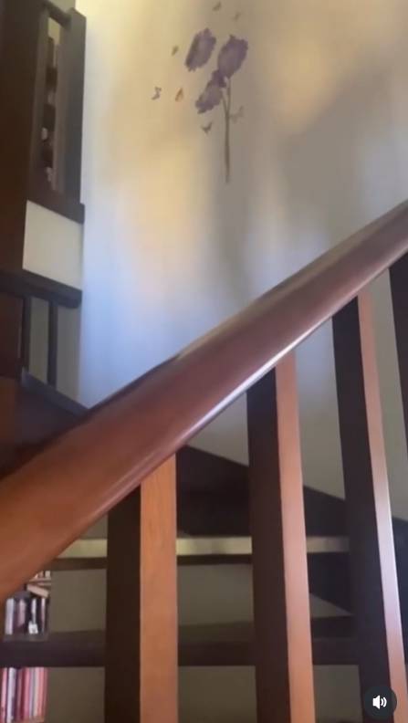 “Totalny syf”. Tak mieszka Agnieszka Chylińska. Zdjęcia nie kłamią (FOTO)