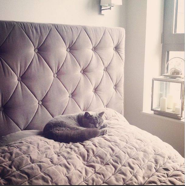 Co Anna Wendzikowska pokazuje na Instagramie?