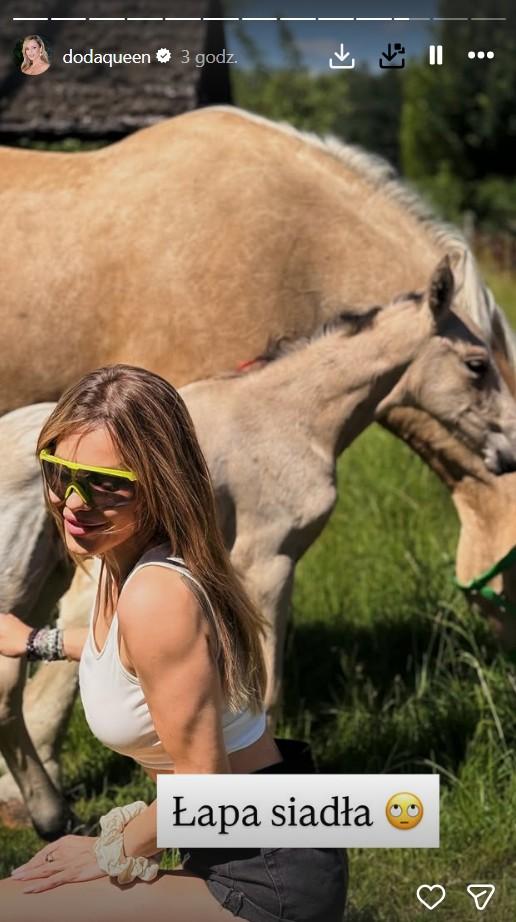 Doda powitała na świecie nowe źrebię, fot. Instagram