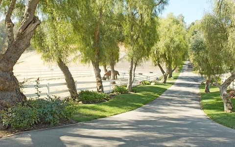 Miley Cyrus została ranczerką