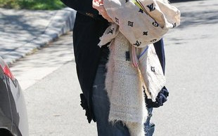 Gwen Stefani i Gavin Rossdale chodzą na terapię (FOTO)