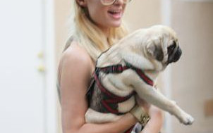 Paris Hilton ma kolejnego pupila (FOTO)