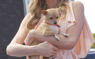 Co 400 kilogramów kokainy robiło na ranczu Paris Hilton?