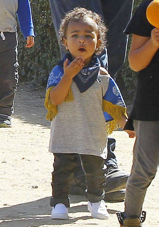 Klan Kardashianów szuka dyni