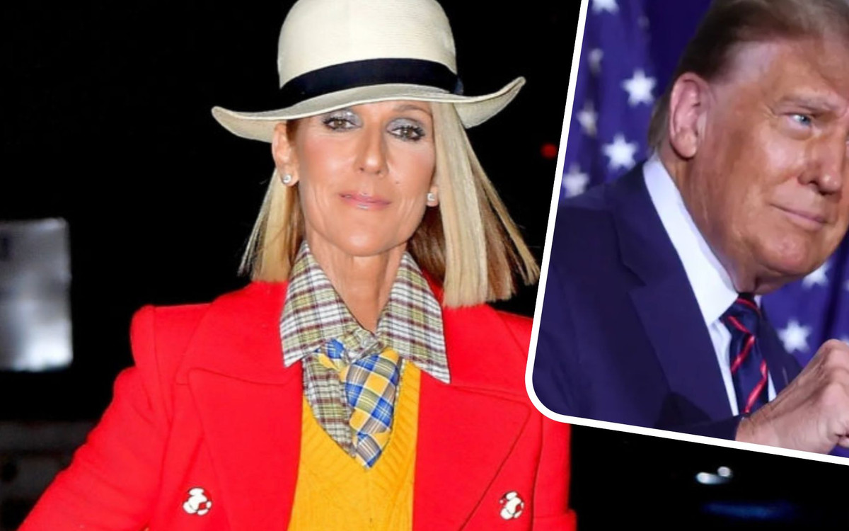 Céline Dion KRYTYKUJE Donalda Trumpa. Wydała oficjalne oświadczenie. Gwiazdy poparły artystkę